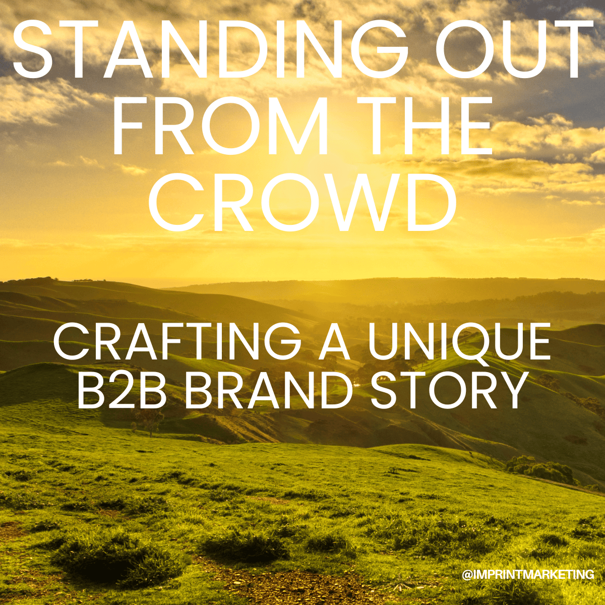 Standing Out from the Crowd